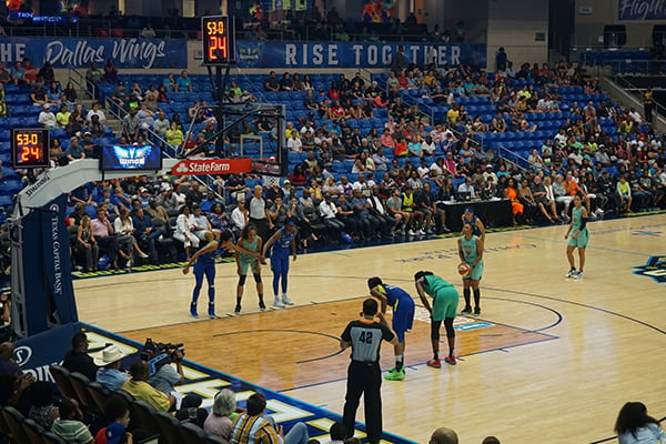 New York Liberty Image