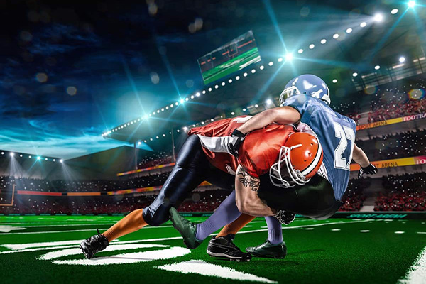 Rose Bowl Image