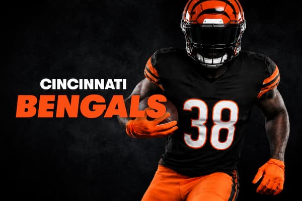 Cincinnati Bengals Image