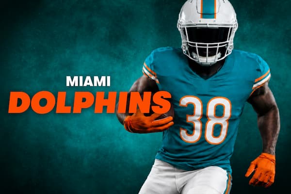 Miami Dolphins Image