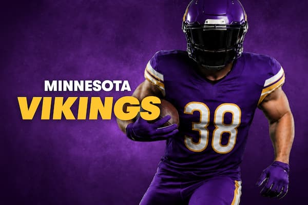 Minnesota Vikings Image