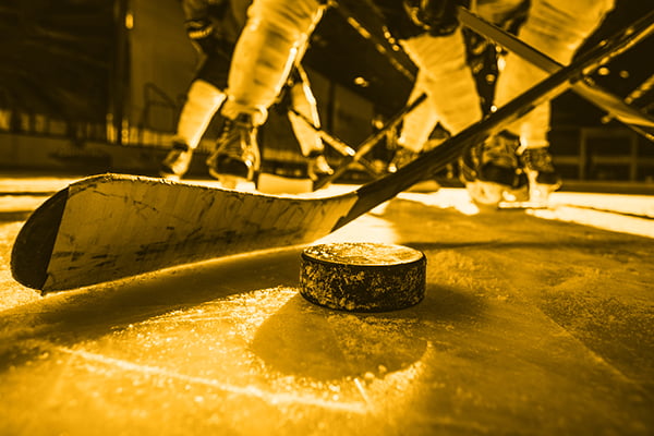 Boston Bruins Image
