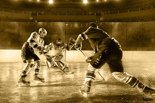 Vegas Golden Knights Image