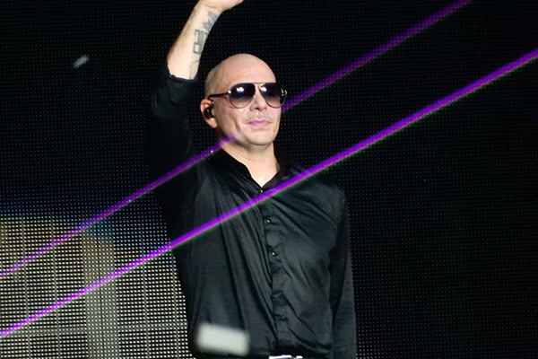 Pitbull Image