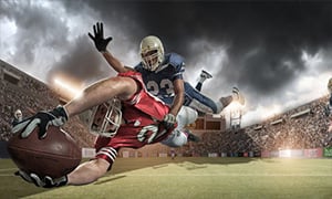 Las Vegas Raiders Image