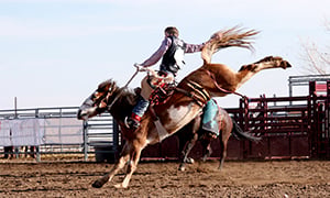 National Finals Rodeo Image