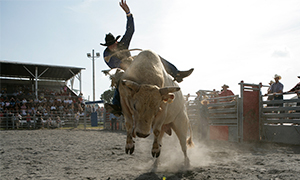 Fort Worth Stock Show & Rodeo Image