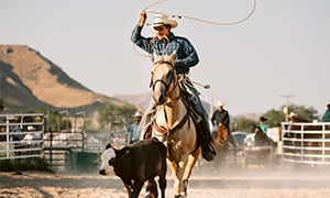 The American Rodeo Image