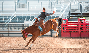 Reno Rodeo Image