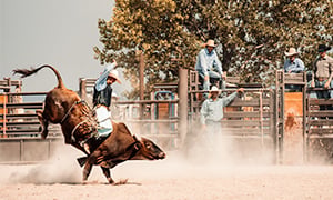 Rodeo Austin Image