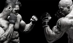 Ultimate Fighting Championship Image