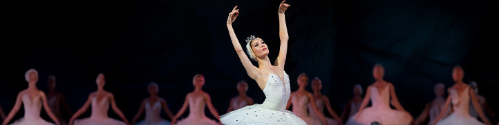 Radio City Christmas Spectacular Image