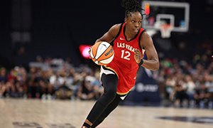 Las Vegas Aces Image