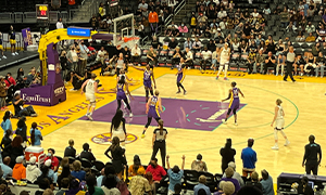 Los Angeles Sparks Image