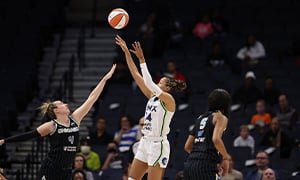 Minnesota Lynx Image