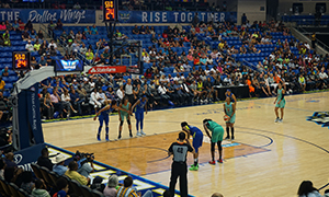 New York Liberty Image