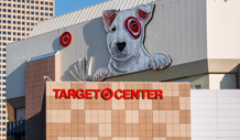 Minnesota Timberwolves Image