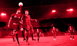 New York Red Bulls Image