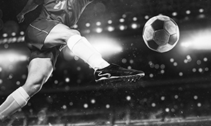 Sporting Kansas City Image