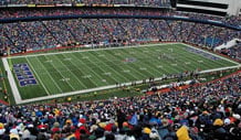 Buffalo Bills Image