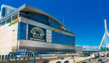 Boston Bruins Image