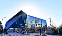 Minnesota Vikings Image