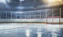 Ottawa Senators Image