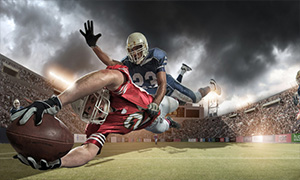 Houston Texans Image