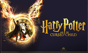 Harry Potter and the Cursed Child Image