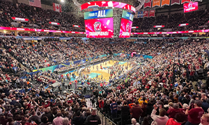 WNBA All Star Game Image