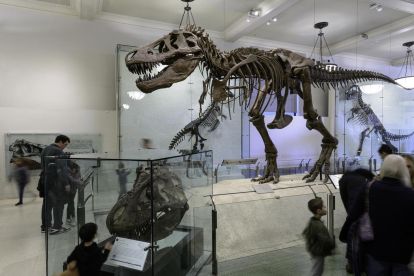 American Museum of Natural History