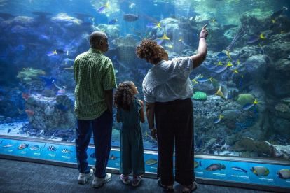 Aquarium of the Pacific 