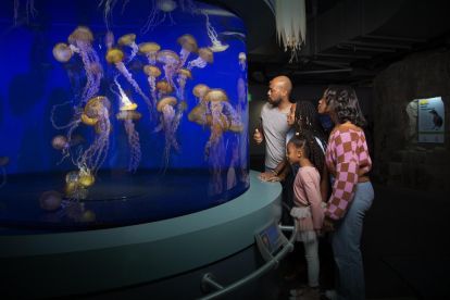 Aquarium of the Pacific 