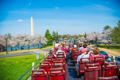 DC: Hop-On Hop-Off Bus Tour & Arlington Walking Tour 