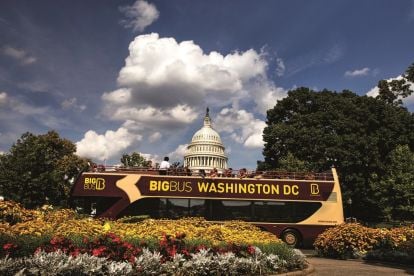 DC: Hop-On Hop-Off Bus Tour & Arlington Walking Tour 