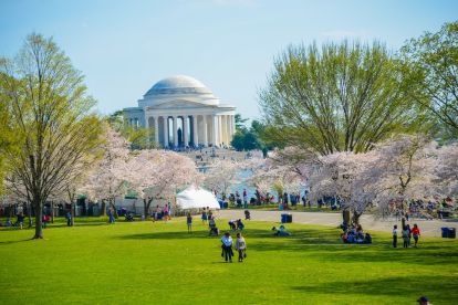 DC: Hop-On Hop-Off Bus Tour & Arlington Walking Tour 