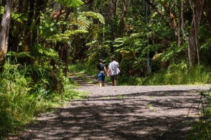Big Island Volcano Adventure Tour (From Hilo)