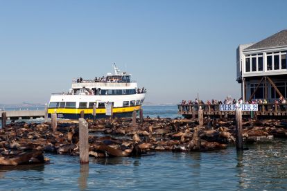 San Francisco Bay Cruise