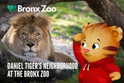 Bronx Zoo			