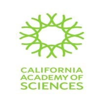 ESU-1491301 - Ticket Product Logo ? Cali Acoba ? #1