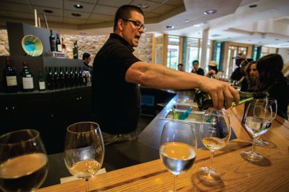 Hop On Hop Off & Wine Tour Combo