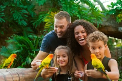 Discovery Cove® Day Resort Package with Free Aquatica Visits