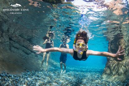 Discovery Cove® Day Resort Package with SeaWorld® and Aquatica