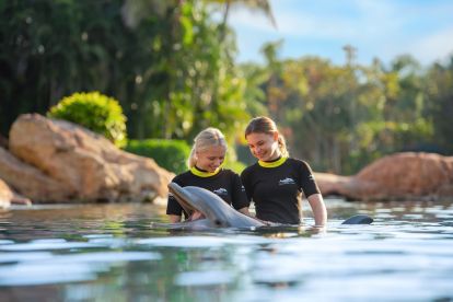 Discovery Cove® Dolphin Swim Package with Free Aquatica Visits