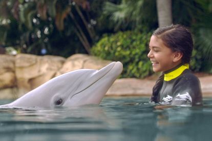 Discovery Cove® Dolphin Swim Package with SeaWorld® and Aquatica