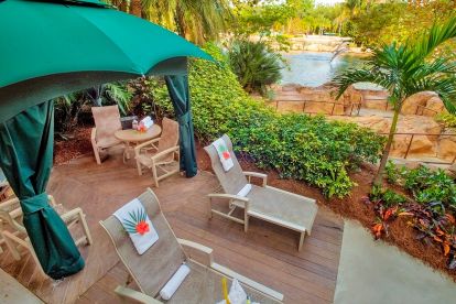 Discovery Cove® Dolphin Swim Package with SeaWorld® and Aquatica