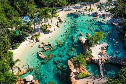 Discovery Cove® Dolphin Swim Package with SeaWorld® and Aquatica