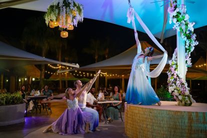 Discovery Cove: Paradise Nights Admission - Adult (10+)