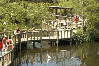 Gatorland: Screaming Gator Zipline & General Admission 