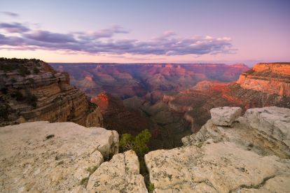 Grand Canyon South Rim Bus Tour